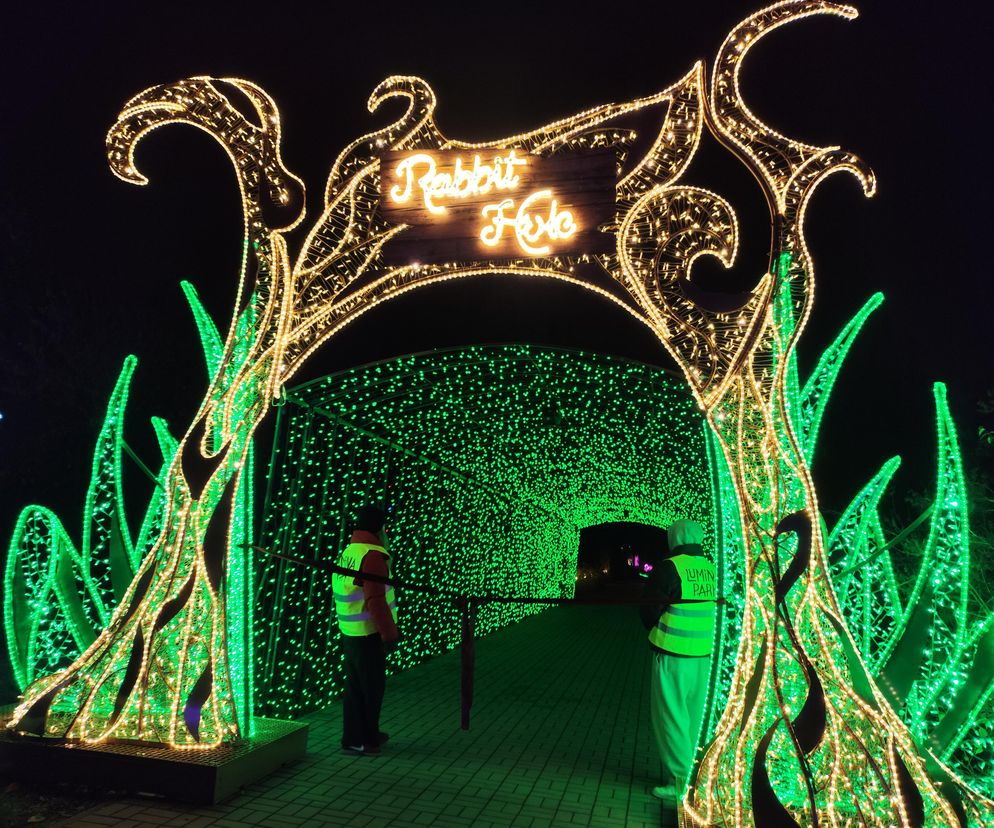 Można wskoczyć do nory królika, zgubić się w labiryncie, a nawet zagrać z Królową Kier i flamingami. Taki jest tegoroczny park iluminacji w Lublinie 
