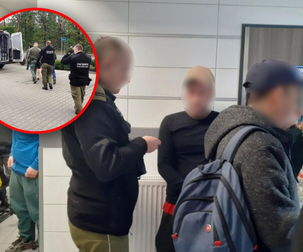 Straż Graniczna zatrzymała 17 cudzoziemców