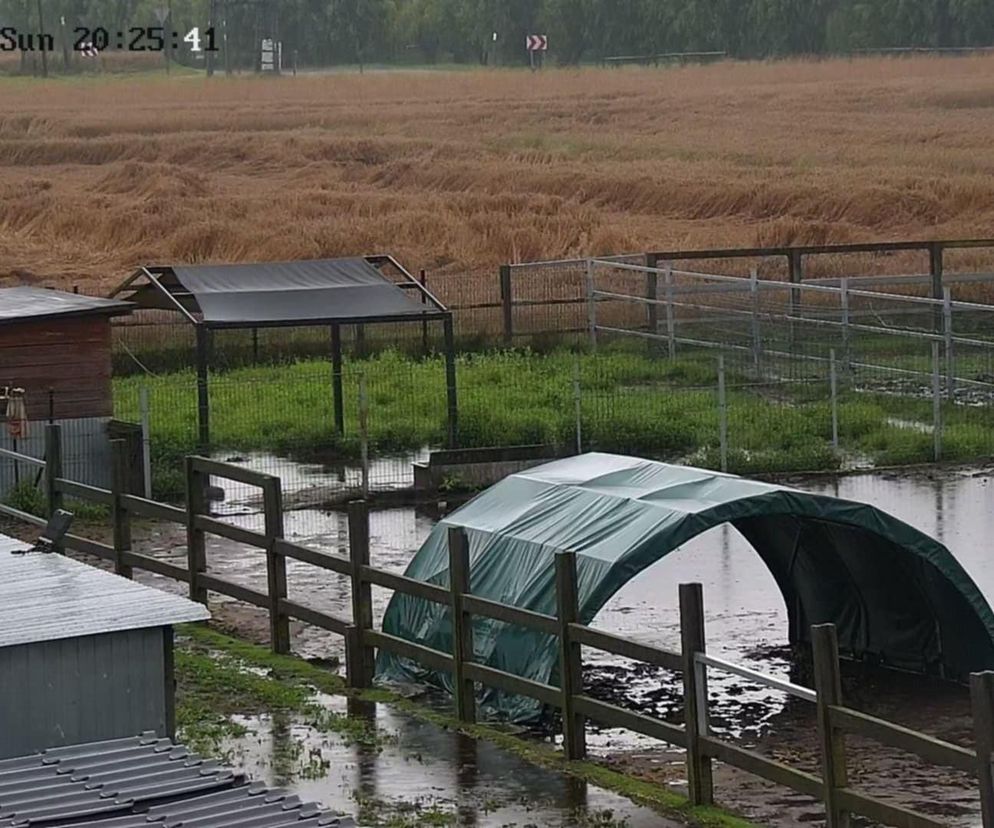 Przystań Ocalenie w Ćwiklicach zalana po ulewnych deszczach