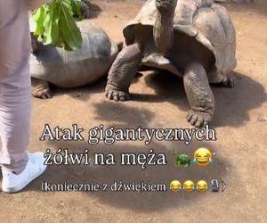 Maciej Orłoś, Paulina Orłoś