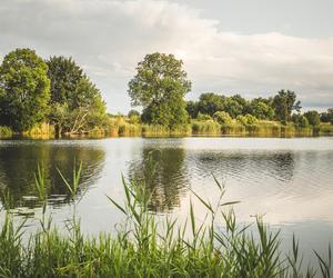 Urlop śladem Wisły. Co zwiedzić, gdzie pojechać? Idealny pomysł na tematyczną wycieczkę po Polsce