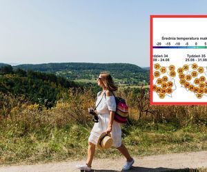 Jaka pogoda na długi sierpniowy weekend? Czy będzie słonecznie?