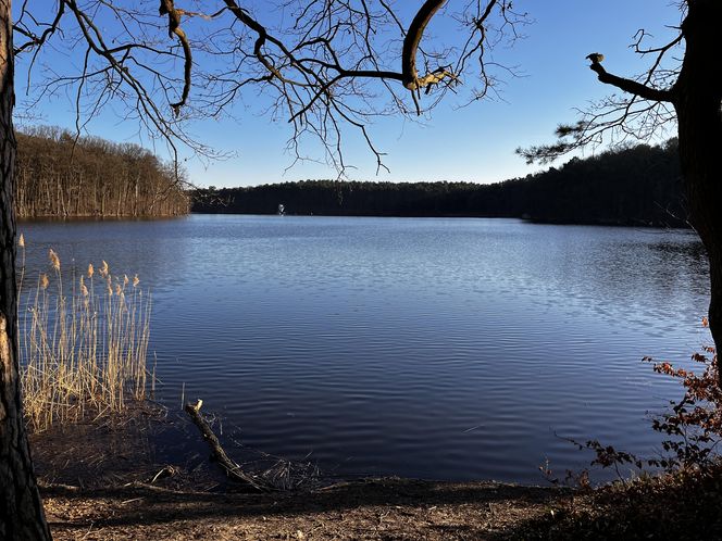 Osiedle Głębokie Szczecin 