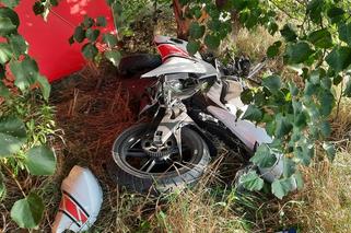 17-latka nie żyje! Huknęła motocyklem w drzewo pod Radzyniem Podlaskim