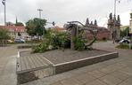 Ktoś zniszczył charakterystyczne drzewko na placu Solidarności