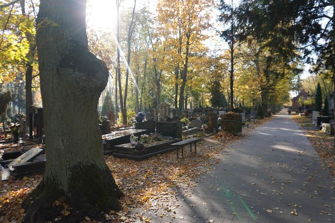 Cmentarz Jeżycki na poznańskich Ogrodach