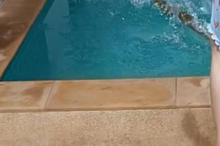 Rodzina pięcioraczków nawiedzona przez wielkiego jaszczura! Mama pokazała nagranie