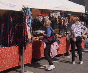 Jesienny Kiermasz Ogrodniczy 2023. Tłumy przy bydgoskim Torbydzie [ZDJĘCIA]