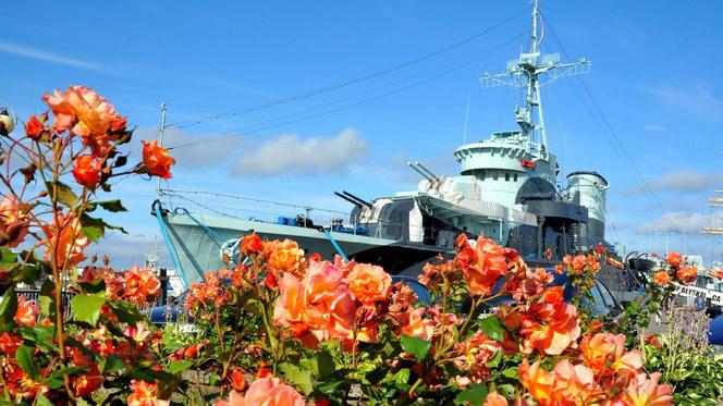 ORP Błyskawica