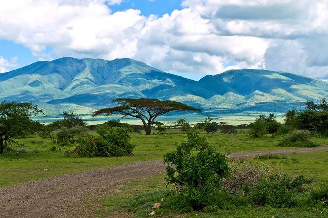 Tanzania- Serengeti