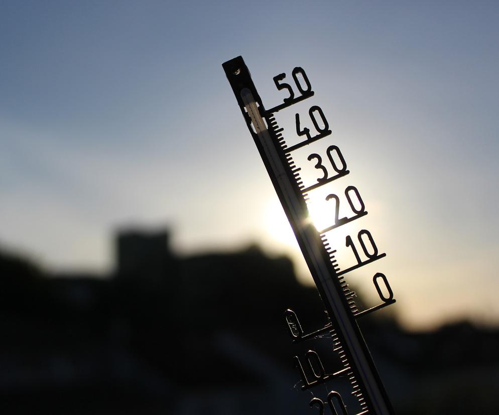 Jednak nie Warszawa! Rekord ciepła dla stycznia pobity w innym miejscu. Aż 19 st. Celsjusza