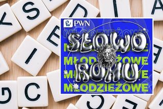 Test z Młodzieżowego Słowa Roku 2024! Odgadnij co oznaczają te słowa generacji Z