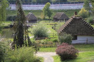 Muzeum Wsi Lubelskiej zachwyca na początku jesieni! Zobacz zdjęcia