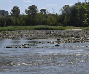 Alarm! Wisła wysycha na naszych oczach. Katastrofalny poziom wody w Warszawie