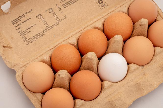 GIS ostrzega przed jajkami. Wykryto w nich salmonellę