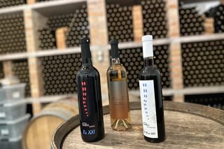 Paweł Szczoczarz oprowadził nas po winnicy Carolus