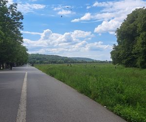 Błonia w Krakowie