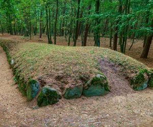 W Kujawsko-Pomorskiem są piramidy starsze od tych egipskich. Mowa o niezwykłych megalitach w Wietrzychowicach