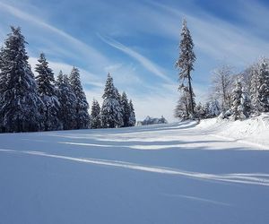 Najwyżej położona miejscowość na Dolnym Śląsku. Jest tu znany kurort i ośrodek narciarski