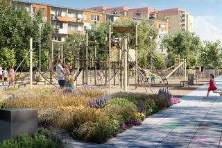 Psie pole na osiedlu Zawadzkiego stanie się pięknym parkiem