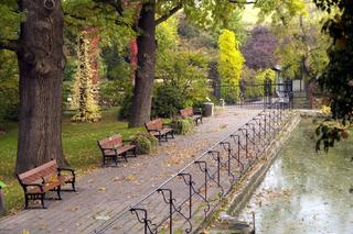 Arboretum Wojsławice prezentuje pełną paletę barw
