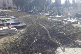 Silny wiatr narobił bałaganu na bydgoskich cmentarzach