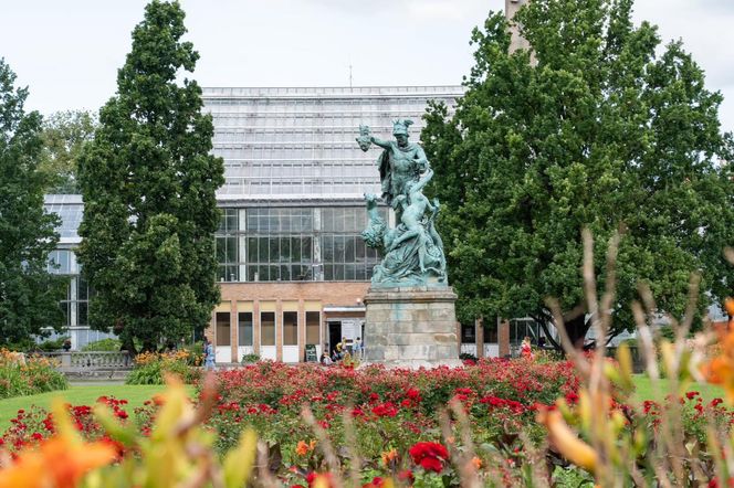Duży sukces Hali Betonowej Betonhaus 