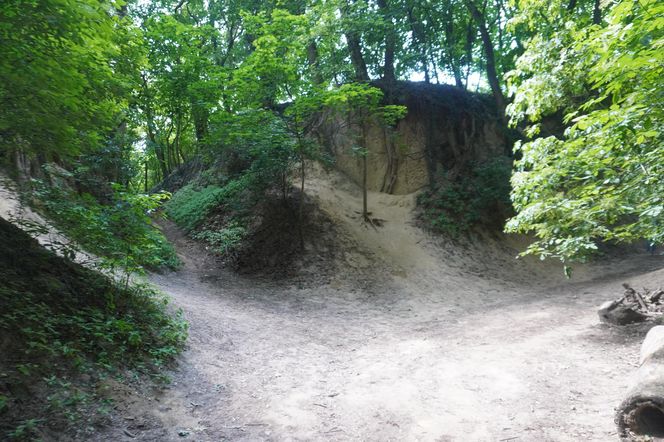 Sandomierz. Wąwóz Św. Królowej Jadwigi