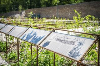 Plac wejściowy w parku Akcji „Burza”