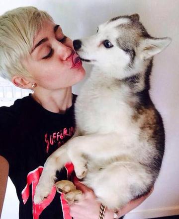 Miley Cyrus: Floyd był jej ukochanym pieskiem :( ZDJĘCIA