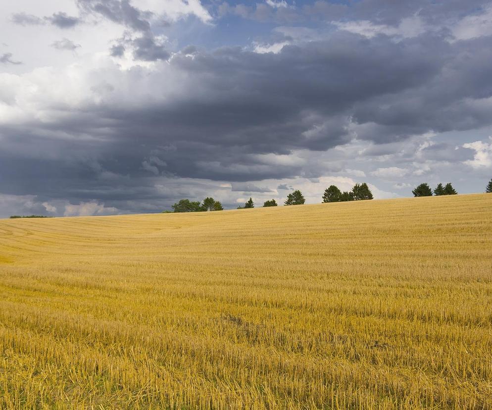 Burze z gradem i upały to nie wszystko. Czerwone alerty IMGW [Prognoza na 12.07.2024]