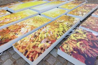 Wyjątkowa instalacja ozdobiła Stare Miasto w Olsztynie. „Antidotum na wszechobecną szarość” [ZDJĘCIA]