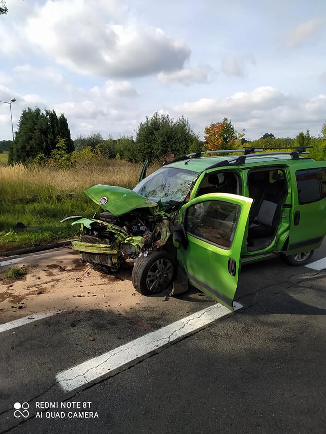 Daleszynek: Z dużą prędkością uderzył w drzewo! Zmarł w szpitalu