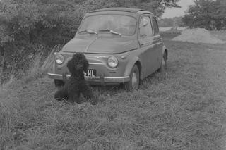 Jak dobrze pamiętasz wczasy w PRL-u? QUIZ