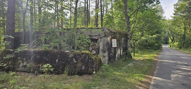 Odwiedziłam jeden z piękniejszych powiatów na Mazurach. To prawdziwy „szlak bunkrowy”