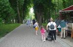 Park Zdrojowy w Busku