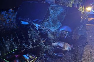 ​Samochód osobowy uderzył w drzewo. Groźny nocny wypadek w Lesznie