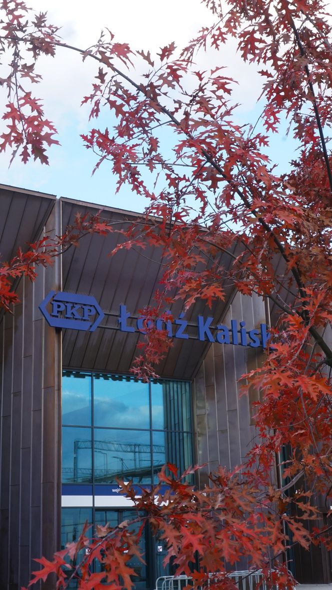 Dworzec Łódź Kaliska oficjalnie otwarty. Łodzianie oceniają nową stację