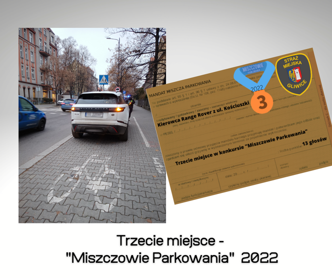 Miszcz parkowania 2022 w Gliwicach - 3 miejsce