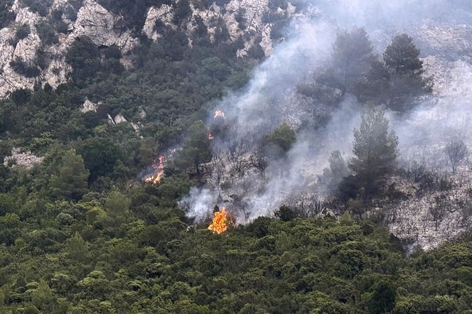 Ogromny pożar we Francji! Spłonął obszar wielki jak Paryż