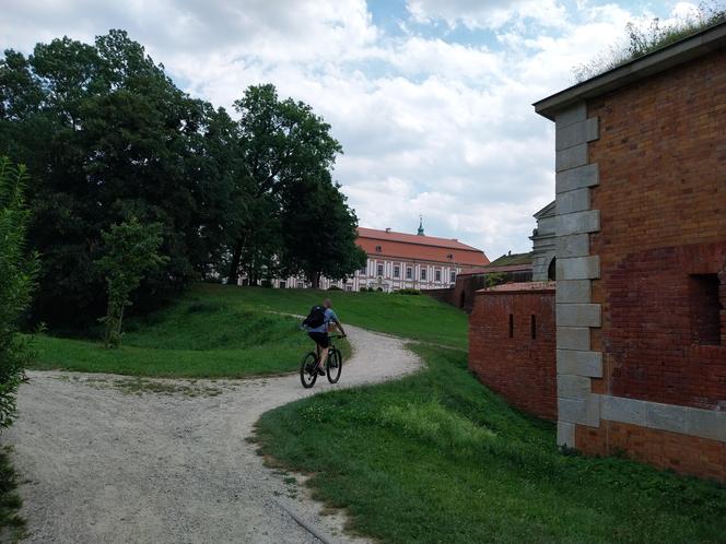 Lato w Parku miejskim w Zamościu 