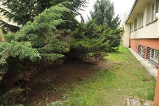 Locha oprosiła się pod szkołą na Białołęce