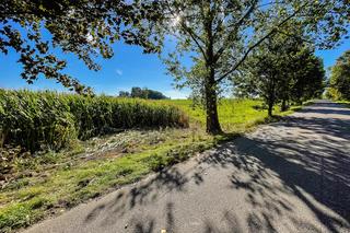 2-letni Grześ zginął w tragicznym wypadku! Jego ciężarna mama walczy o życie