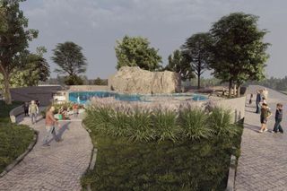 Nowy wybieg dla pingwinów w Warszawskim ZOO - wizualizacje