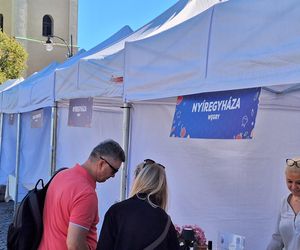 Festiwal Karpaty na Widelcu w Rzeszowie