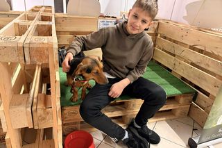 Akcja adopcyjna Fundacji Dobre Ludki w Grudziądzu