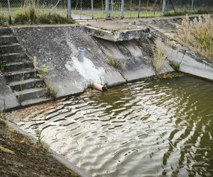 Stary zbiornik przeciwpożarowy na Gronowie