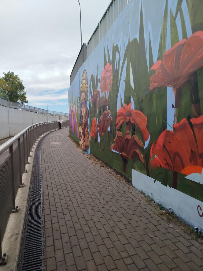 Kolorowe grafiki w siedleckim tunelu pod torami