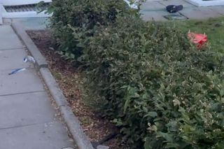 Zabójstwo na kampusie UW. Policja opublikowała wstrząsające nagranie. Pokazali wszystko