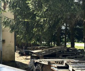 Zabił 16-letnią Maję z wyjątkowym okrucieństwem. Bartłomiej G. zatrzymany w Grecji 